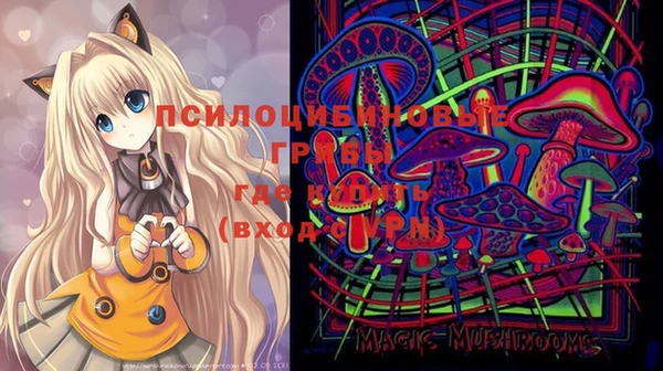 герыч Галич