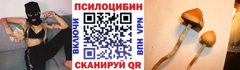 наркошоп площадка телеграм Псилоцибиновые грибы прущие грибы Облучье